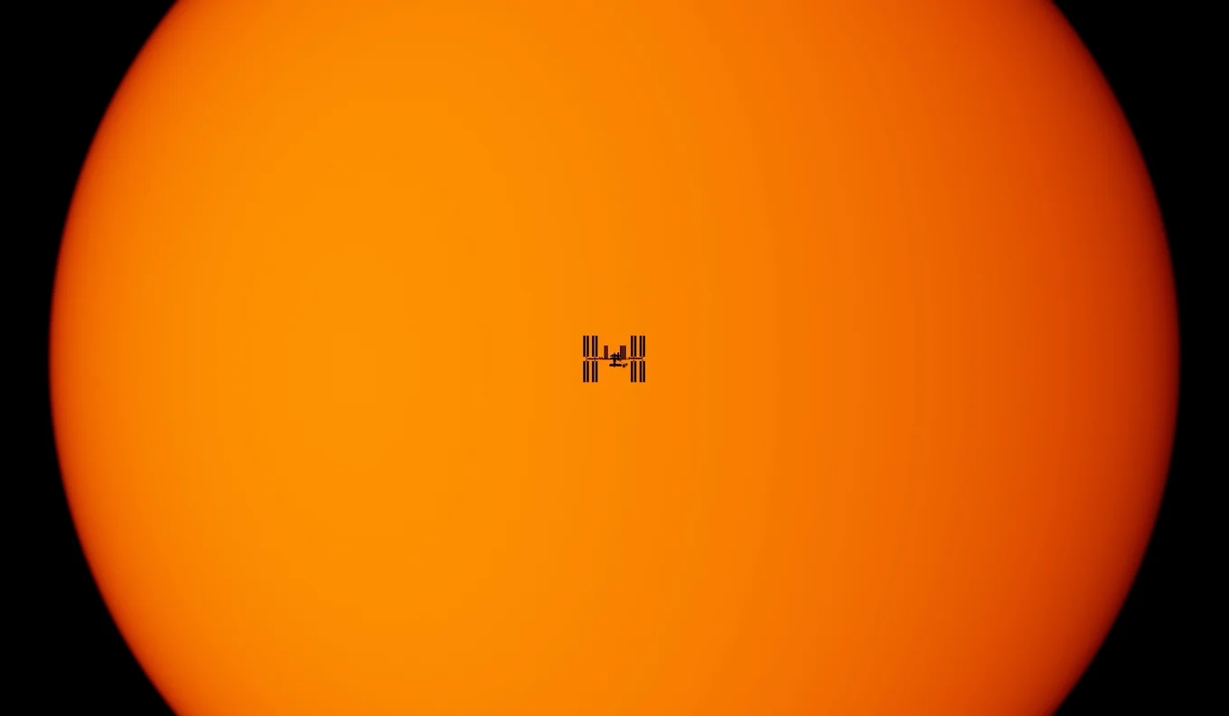 Black silhouette on bright orange circle background.